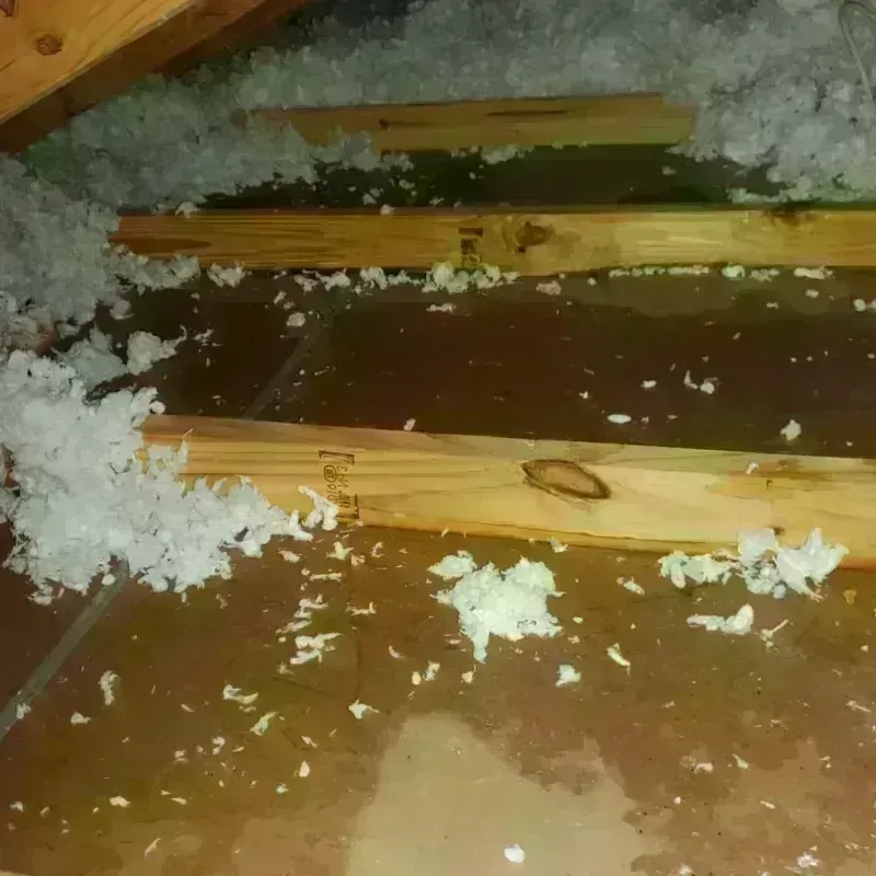 Attic Water Damage in Sebring, OH