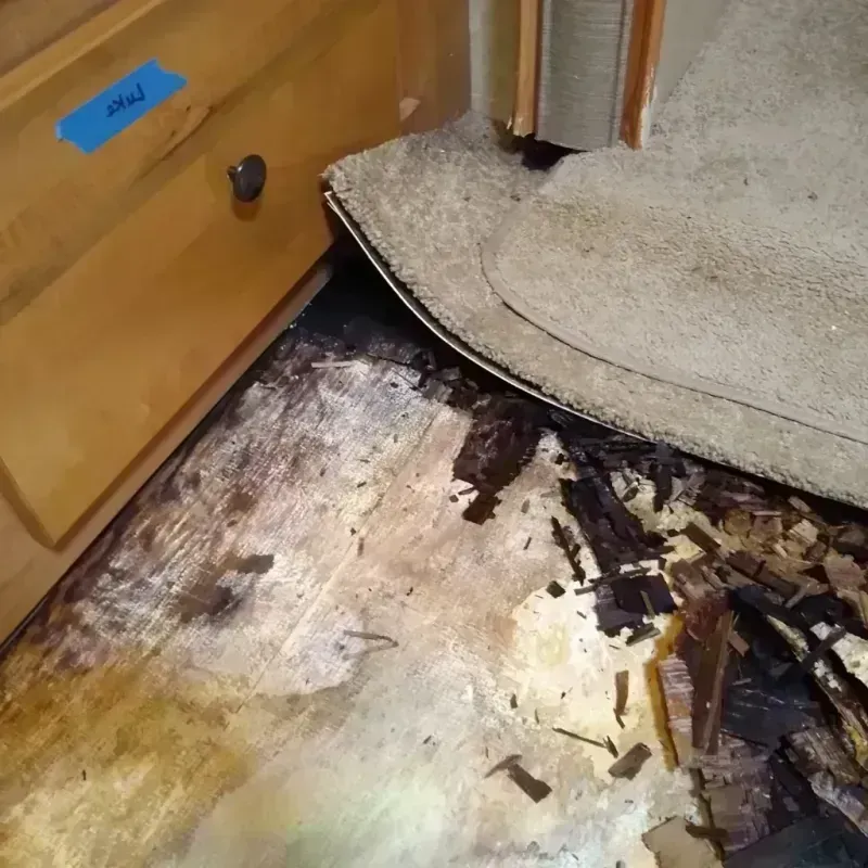 Wood Floor Water Damage in Sebring, OH